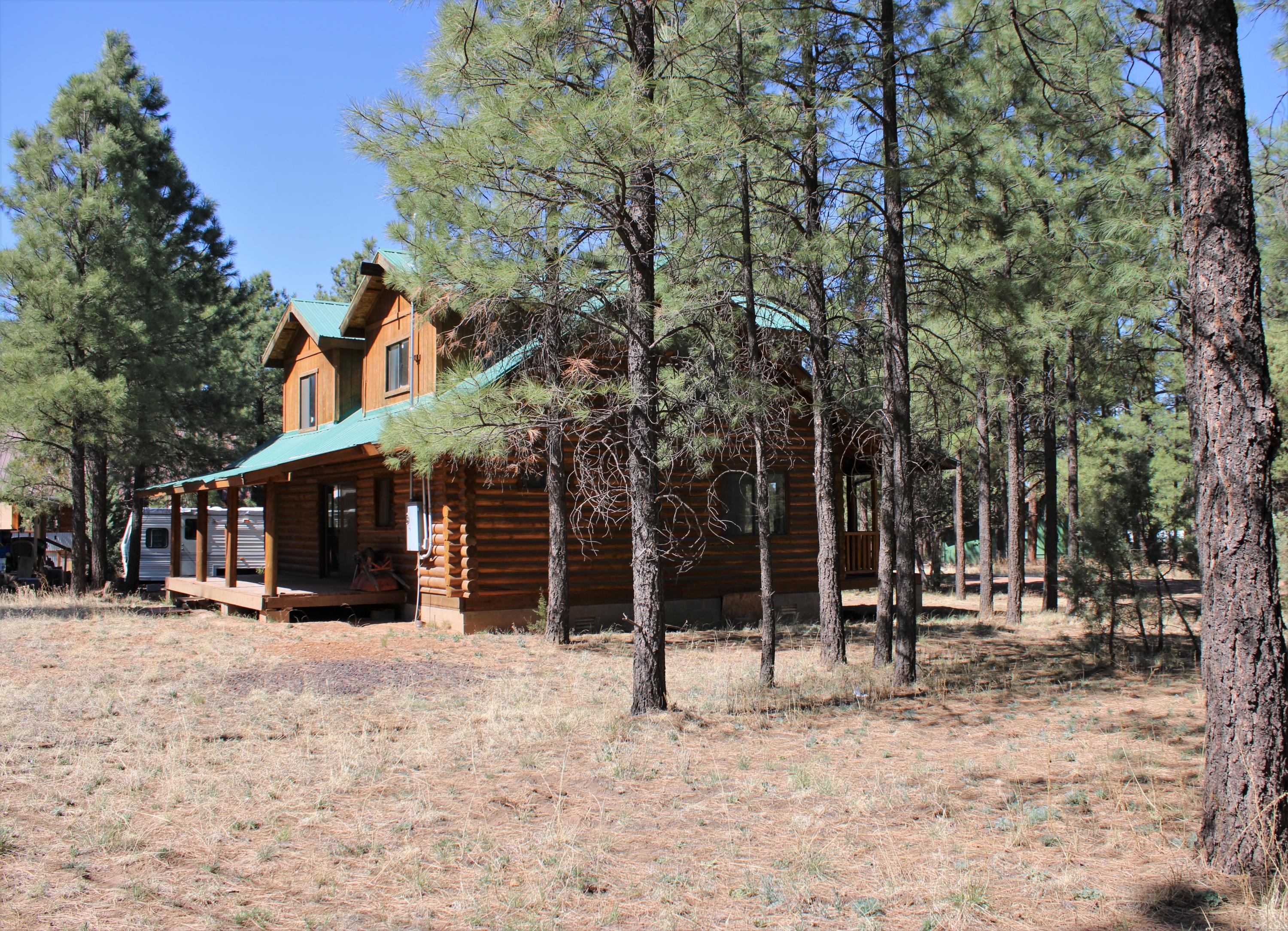 2836 Timber Trail Loop Overgaard, AZ 85933 - Photo 38 of 39