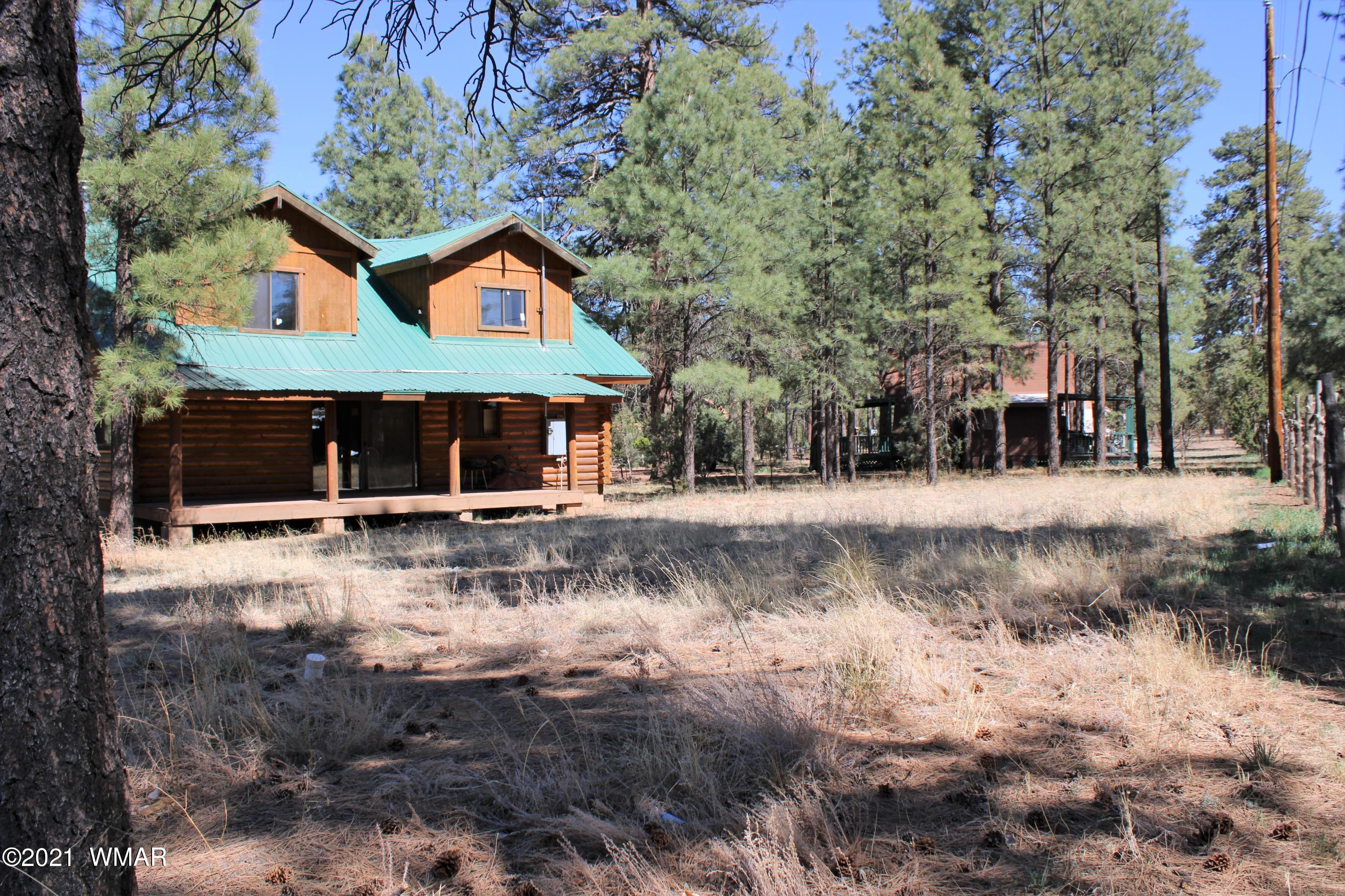 2836 Timber Trail Loop Overgaard, AZ 85933 - Photo 4 of 39