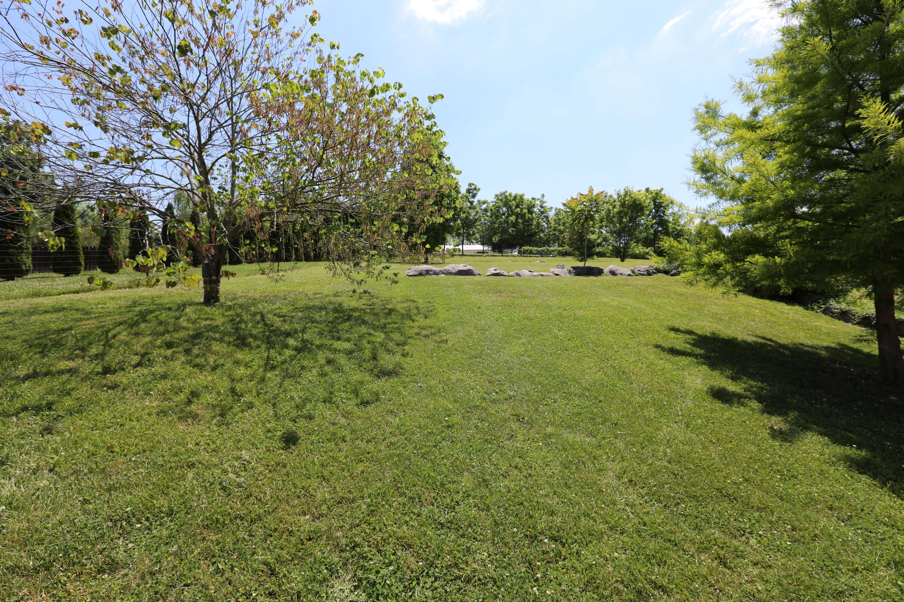 4275 Kennedy Bridge Road Lancaster, KY 40444 - Photo 22 of 24 D49A4542-min
