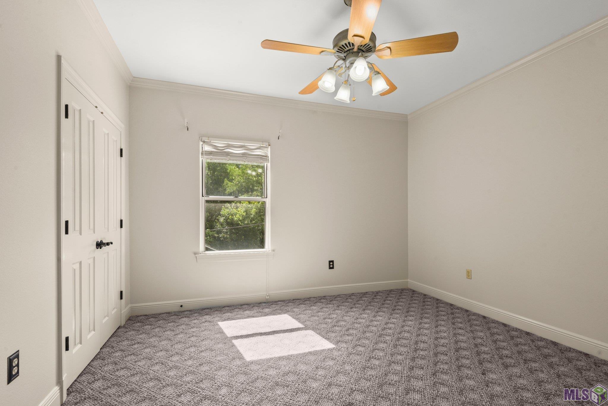 20765 Henry Road Springfield, LA 70462 - Photo 10 of 41 Gallery Image 10