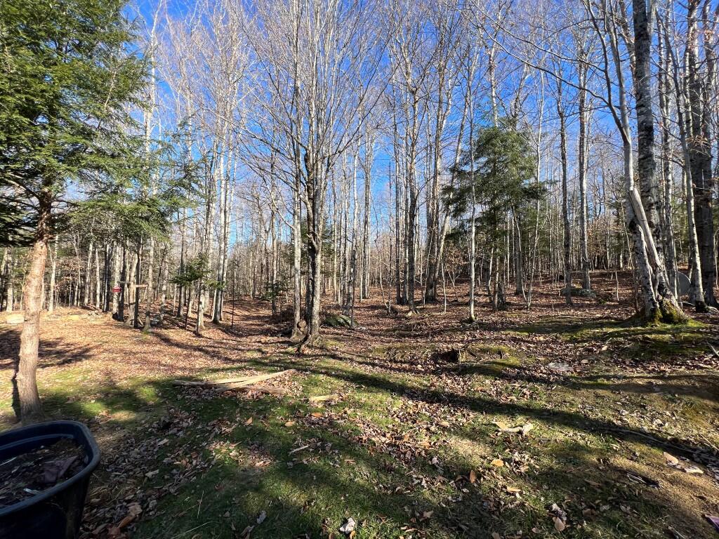 173 Ham Drive Springfield, ME 04487 - Photo 9 of 17 IMG_9367