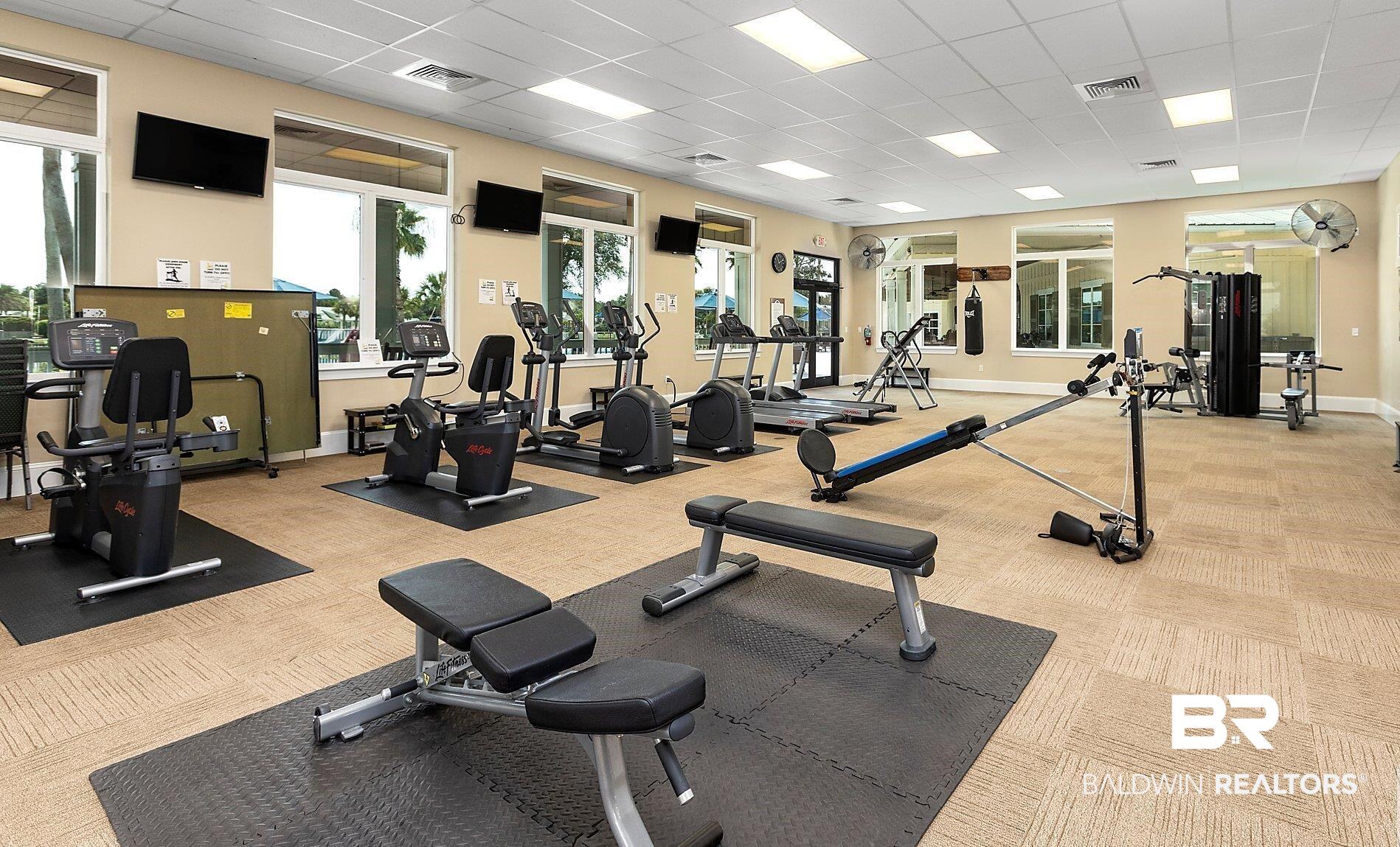 28086 Migratory Way Elberta, AL 36530 - Photo 28 of 46 Exercise room with a paneled ceiling and light carpet