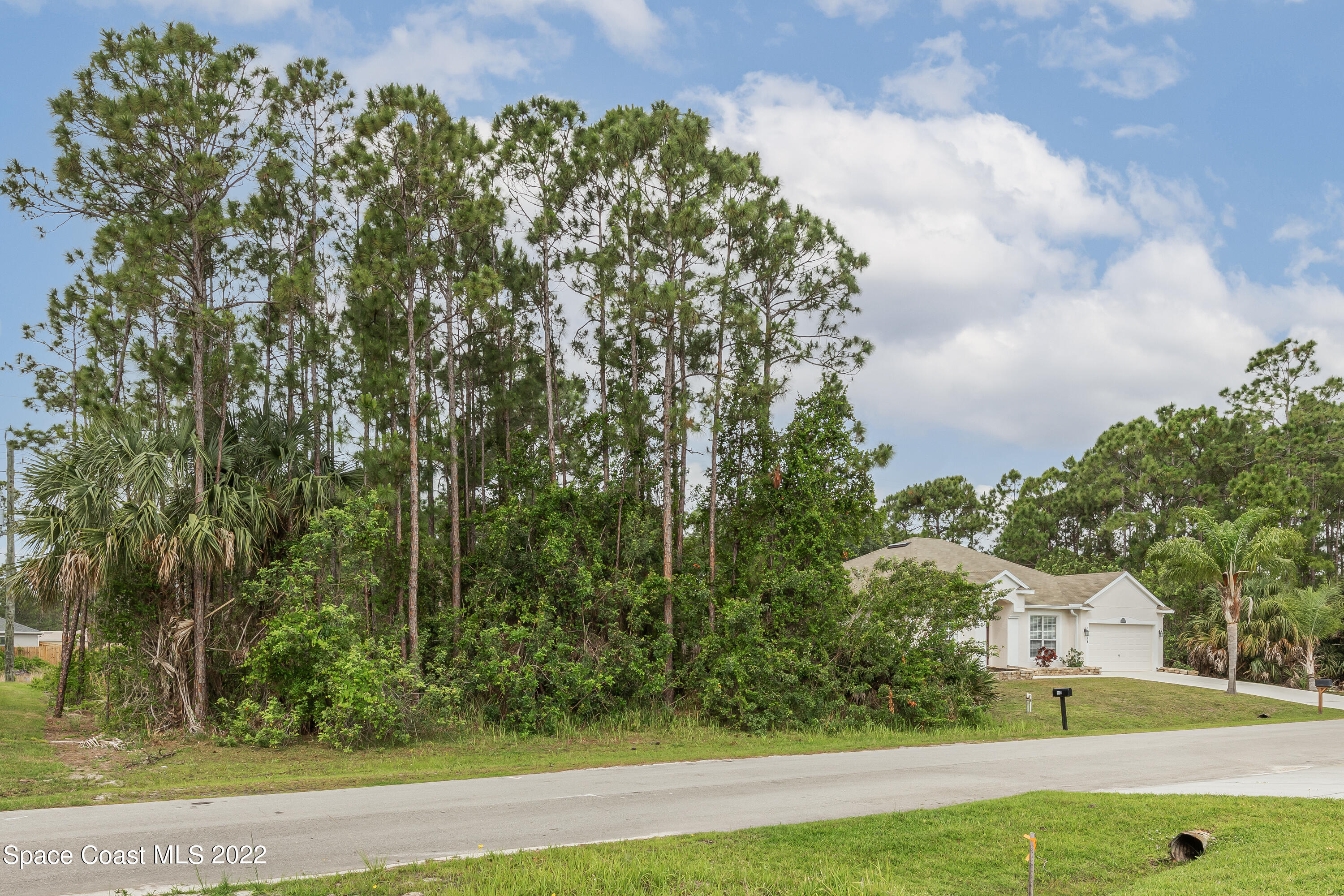 1114 Sexton Road Southwest Palm Bay, FL 32908 - Photo 3 of 19 a view of a yard with flower plants and wooden fence