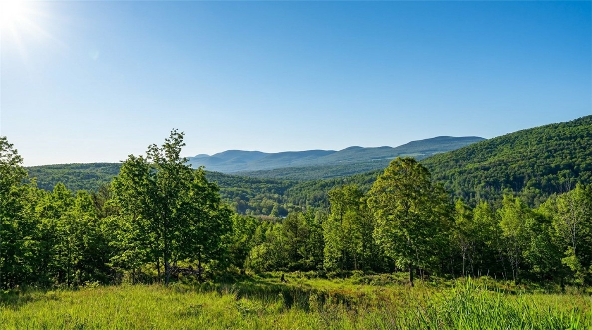 10.10 Cheese Hill Road Preston Hollow, NY 12469 - Photo 10 of 46
