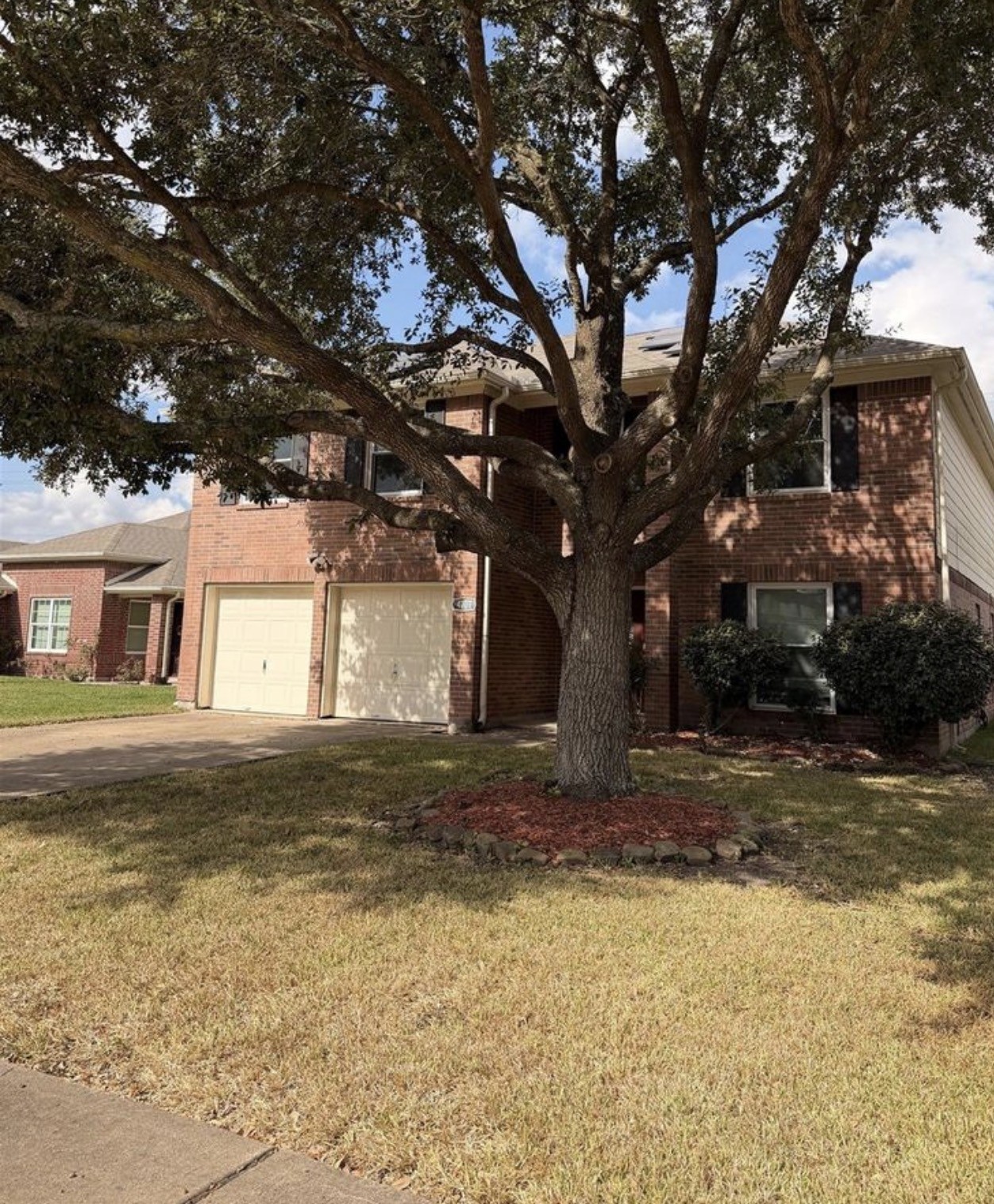 a big tree in middle of the middle of a yard