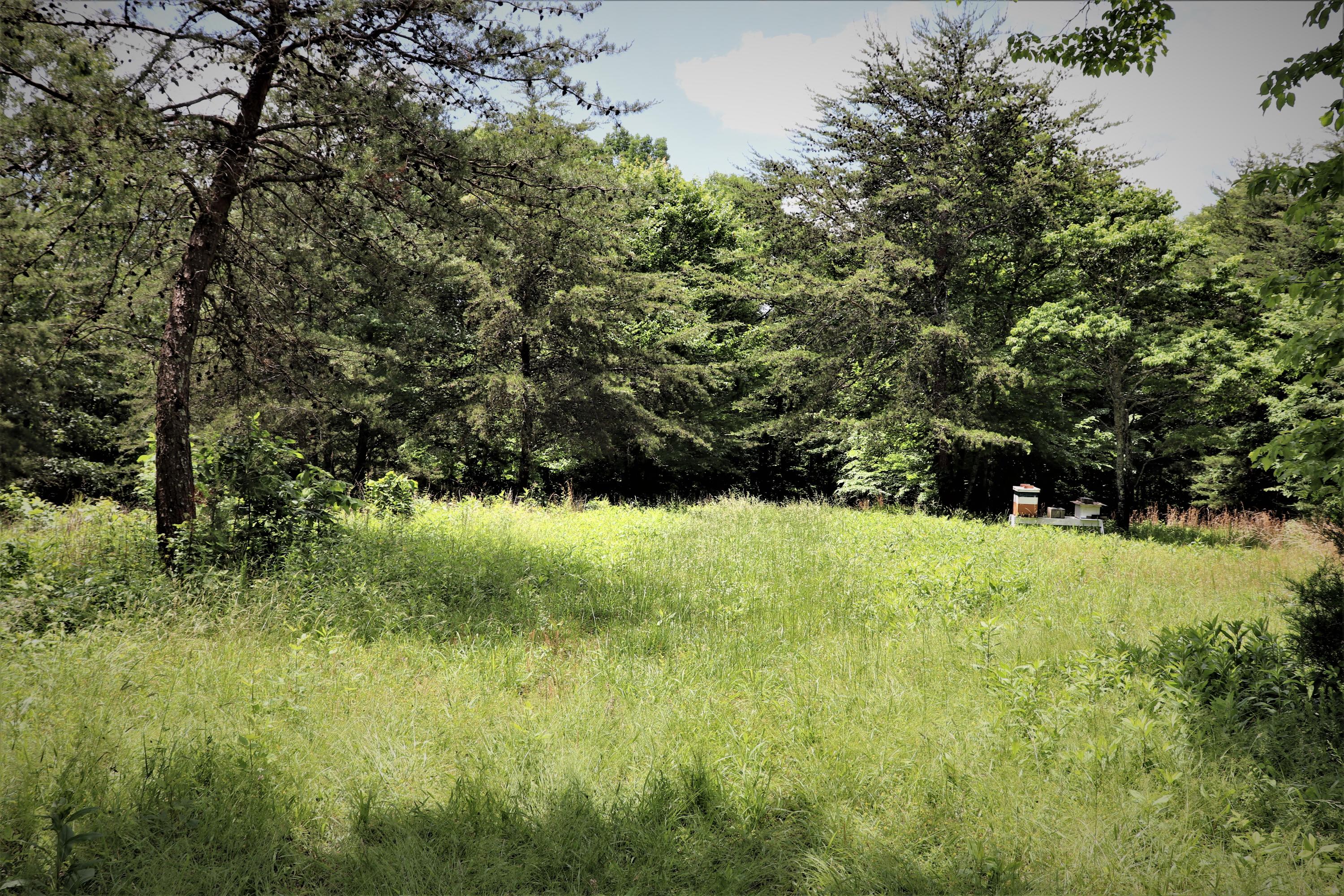 187 County Road 675 Riceville, TN 37370 - Photo 2 of 18 IMG_0647 (3)