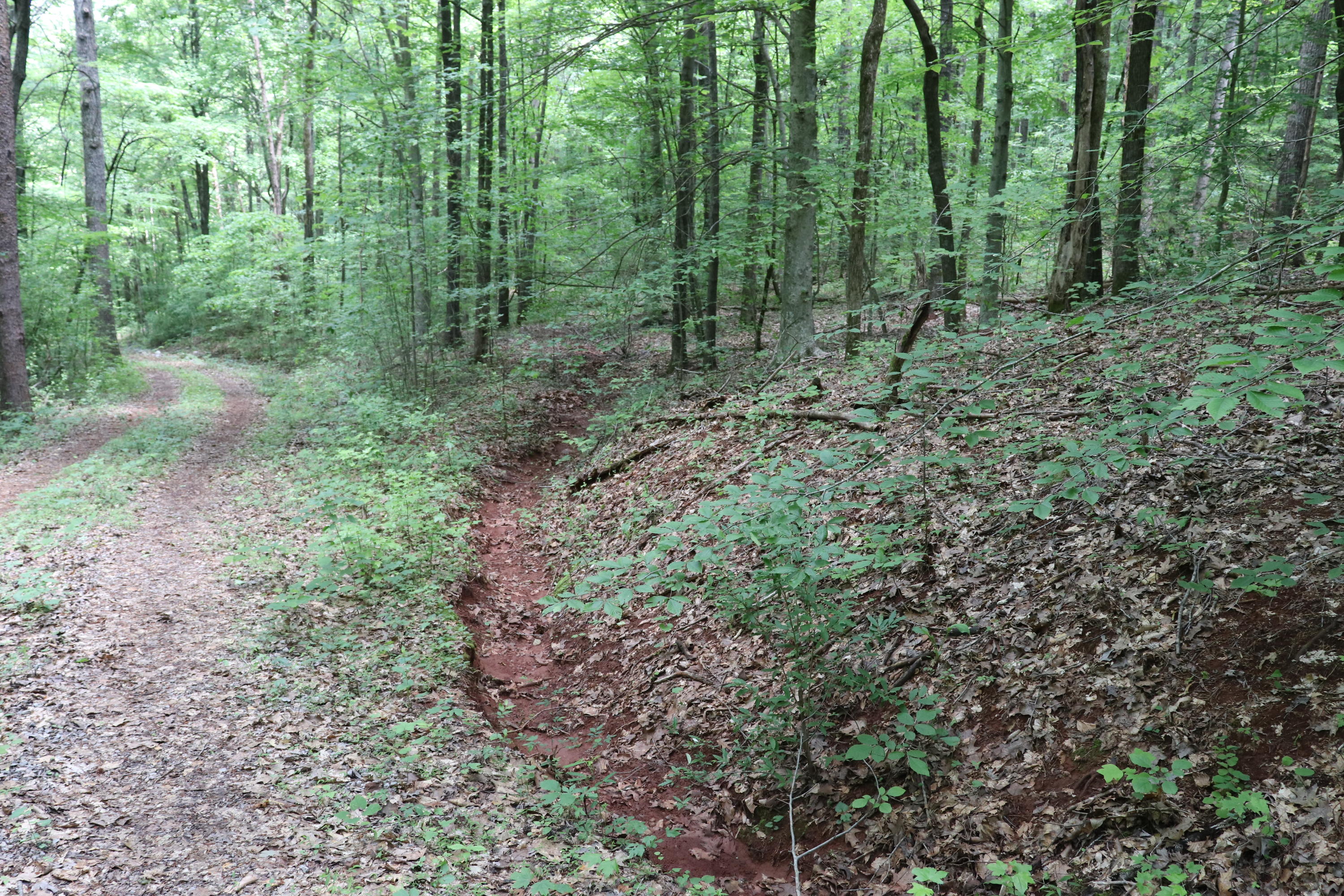187 County Road 675 Riceville, TN 37370 - Photo 11 of 18 IMG_0633