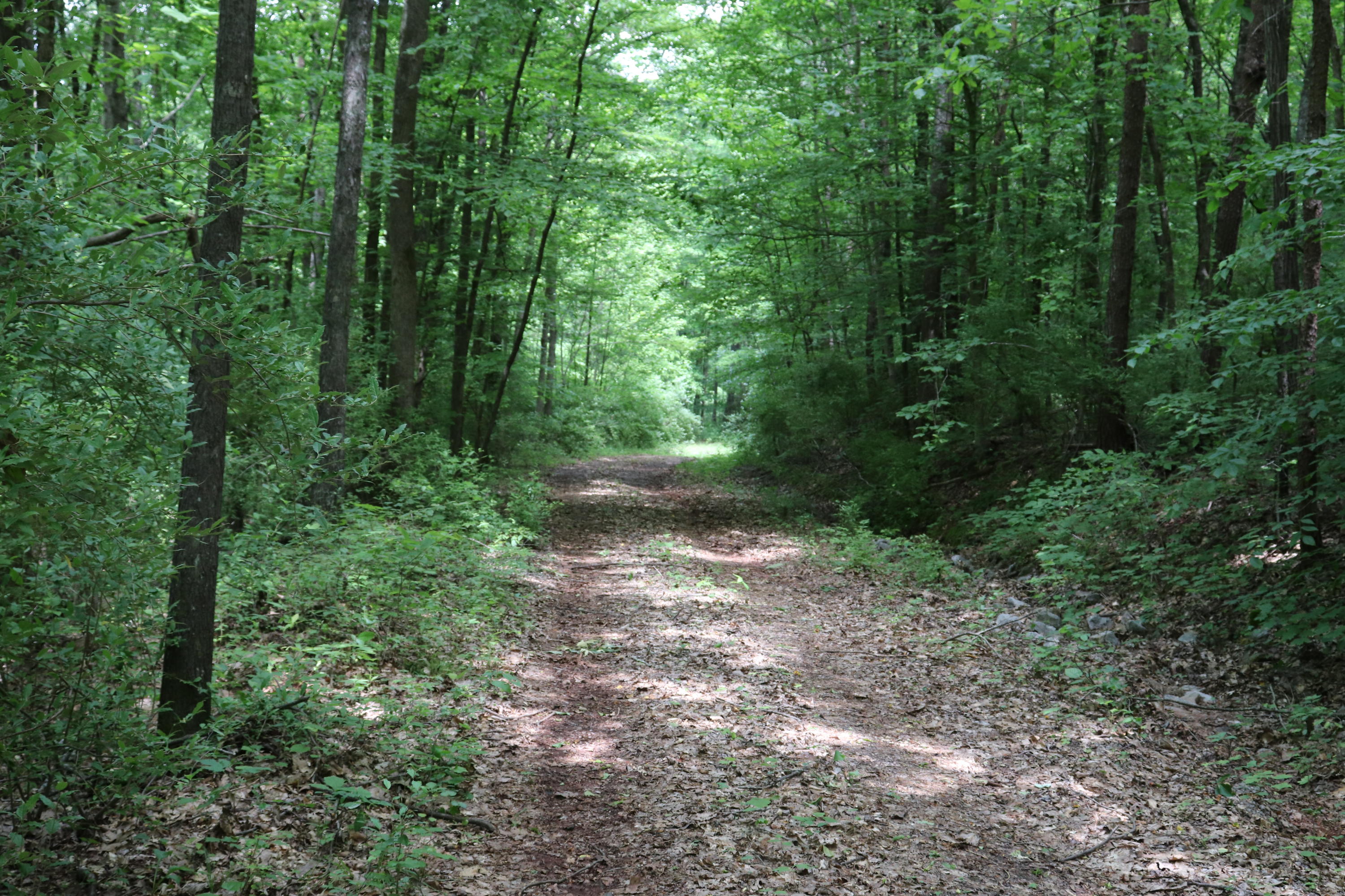187 County Road 675 Riceville, TN 37370 - Photo 12 of 18 IMG_0658