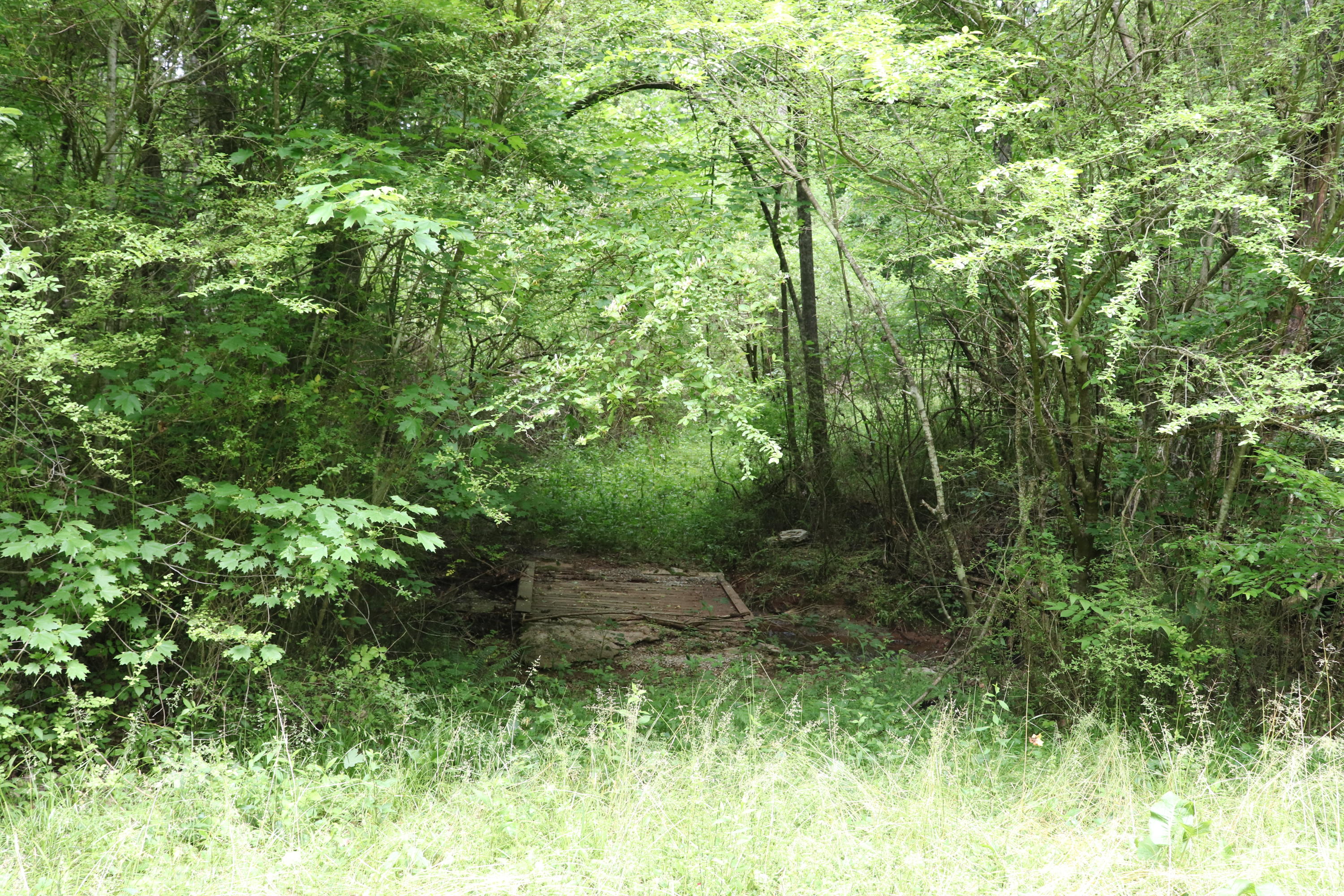 187 County Road 675 Riceville, TN 37370 - Photo 13 of 18 IMG_0624