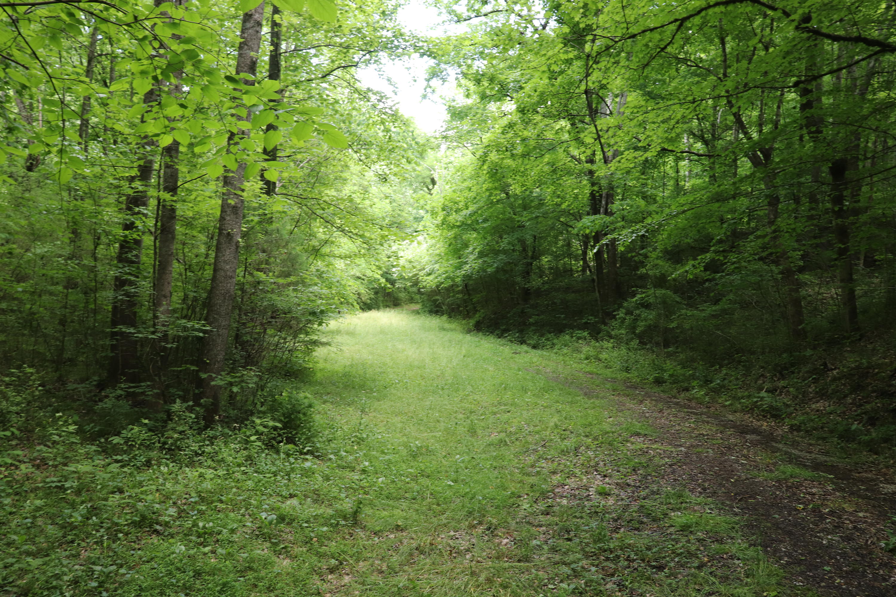 187 County Road 675 Riceville, TN 37370 - Photo 17 of 18 IMG_0622