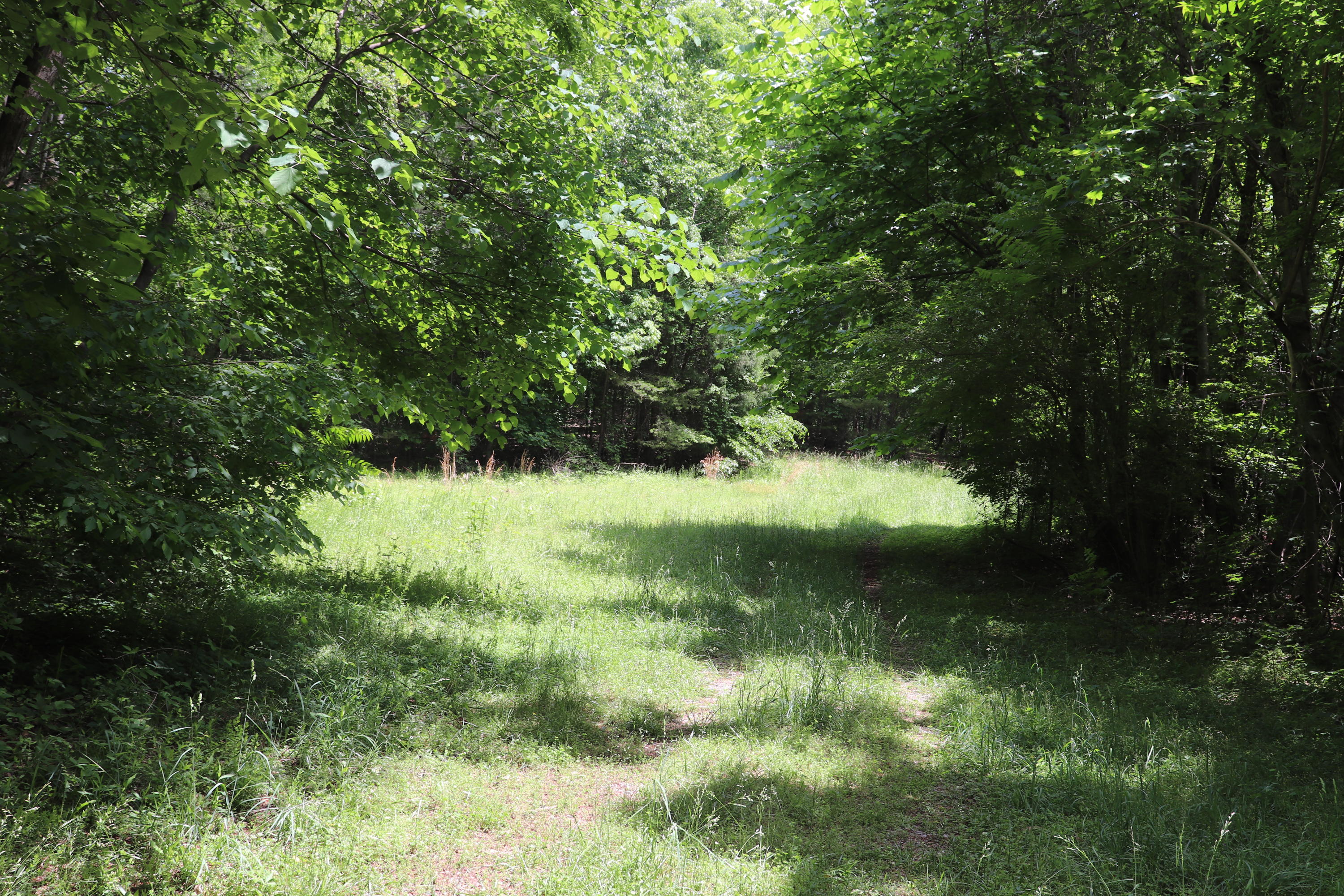 187 County Road 675 Riceville, TN 37370 - Photo 18 of 18 IMG_0636