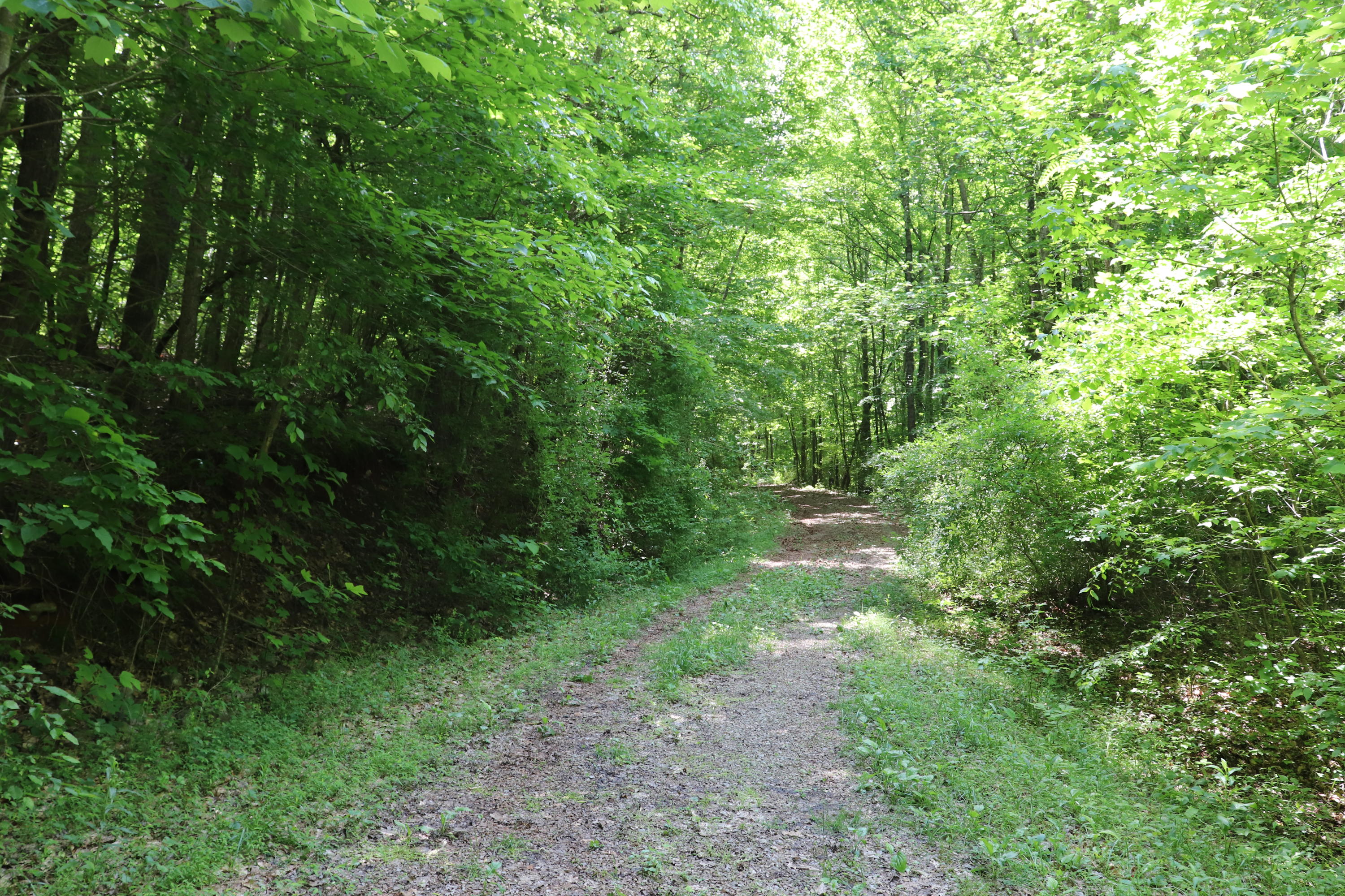 187 County Road 675 Riceville, TN 37370 - Photo 10 of 18 IMG_0630