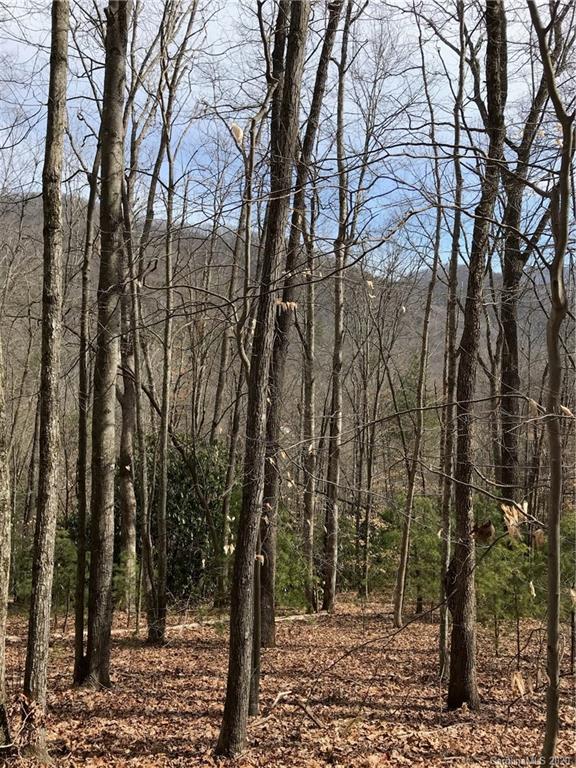 92 Davis Chapel Road Candler, NC 28715 - Photo 1 of 5 Gallery Image 1
