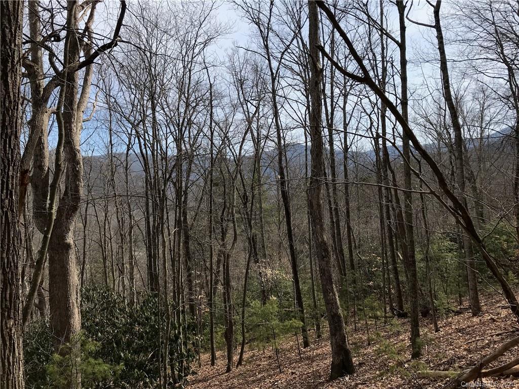 92 Davis Chapel Road Candler, NC 28715 - Photo 2 of 5 Gallery Image 2
