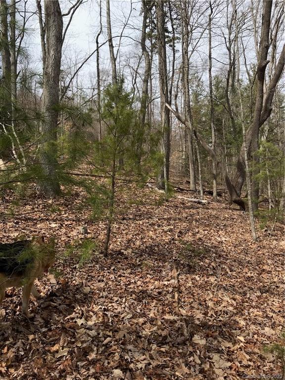 92 Davis Chapel Road Candler, NC 28715 - Photo 3 of 5 Gallery Image 3