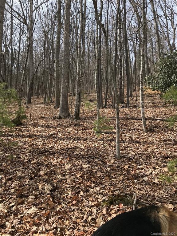 92 Davis Chapel Road Candler, NC 28715 - Photo 4 of 5 Gallery Image 4