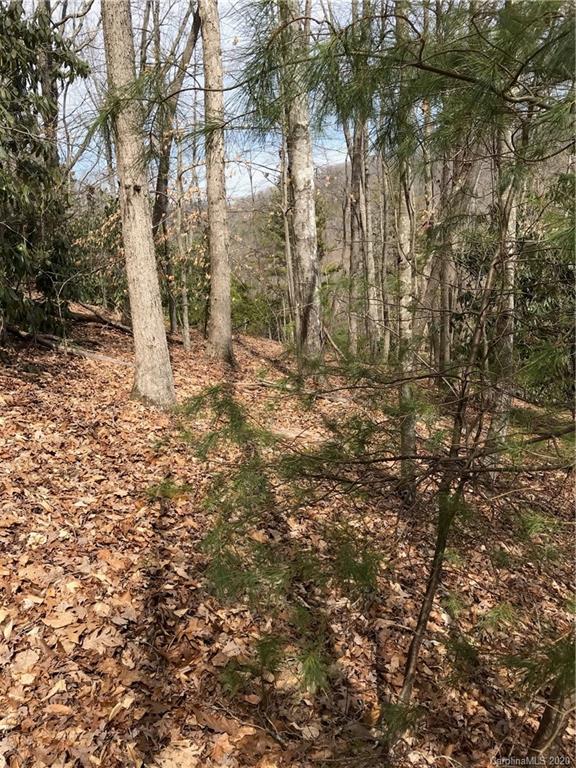 92 Davis Chapel Road Candler, NC 28715 - Photo 5 of 5 Gallery Image 5