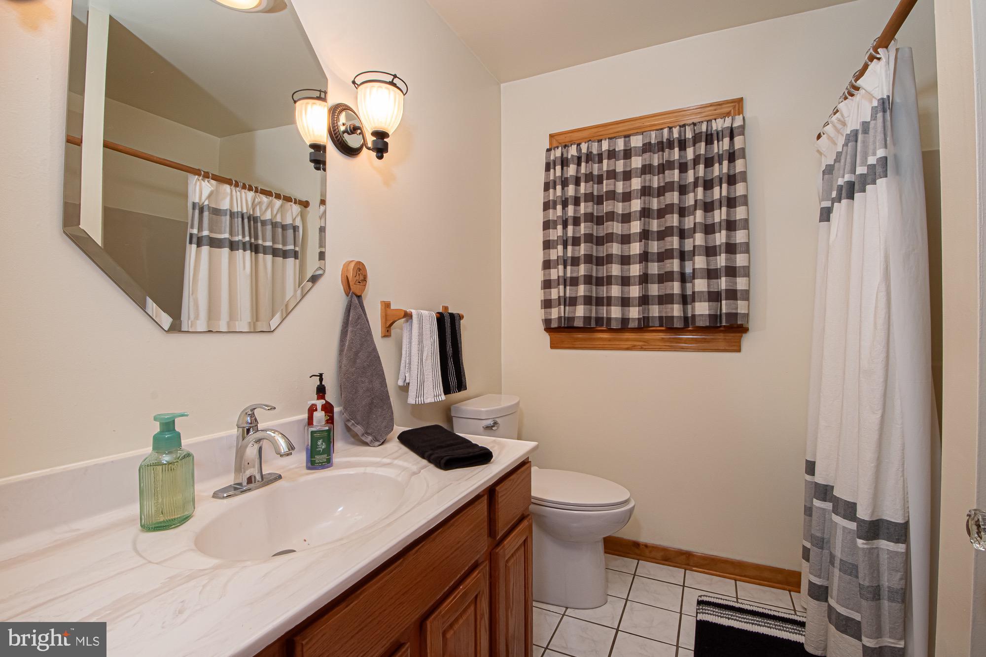 2180 Strasburg Road Front Royal, VA 22630 - Photo 21 of 90 a bathroom with a sink a toilet and mirror