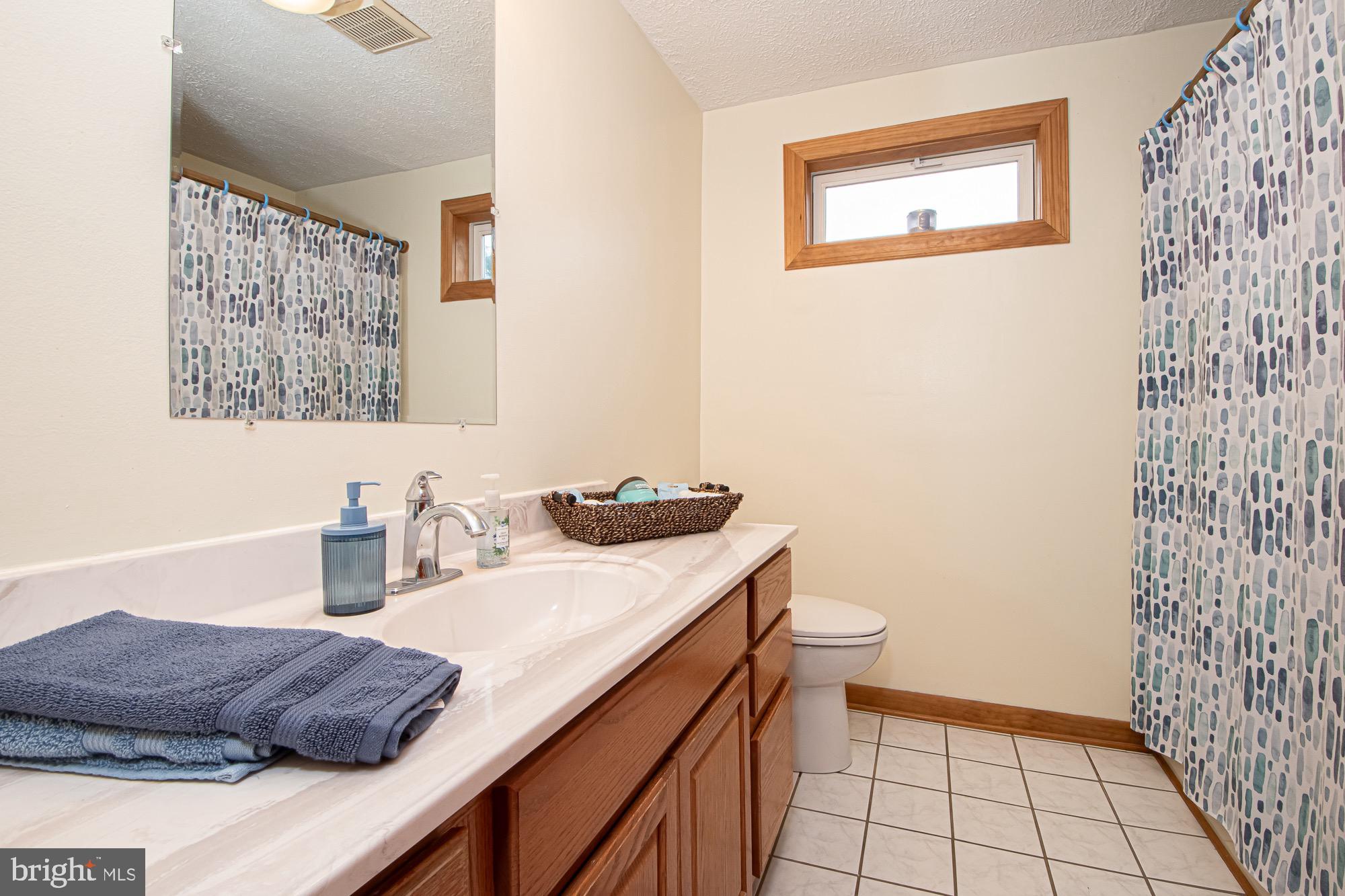 2180 Strasburg Road Front Royal, VA 22630 - Photo 22 of 90 Full bath 2