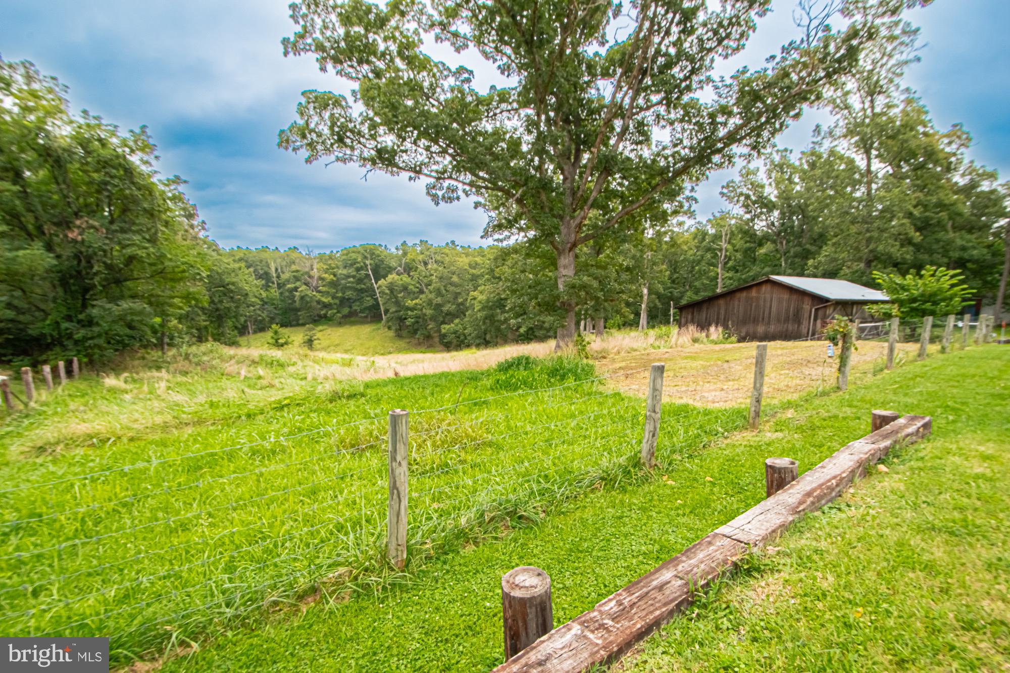 2180 Strasburg Road Front Royal, VA 22630 - Photo 4 of 90 Fenced pasture