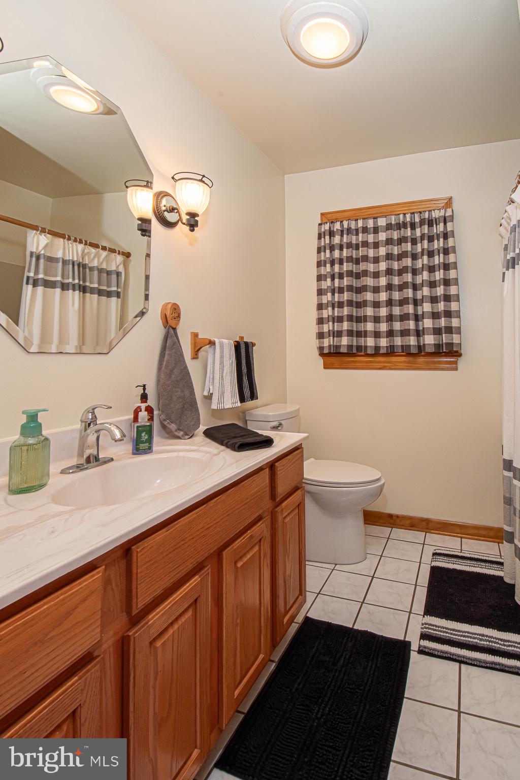 2180 Strasburg Road Front Royal, VA 22630 - Photo 62 of 90 a bathroom with a sink and a mirror