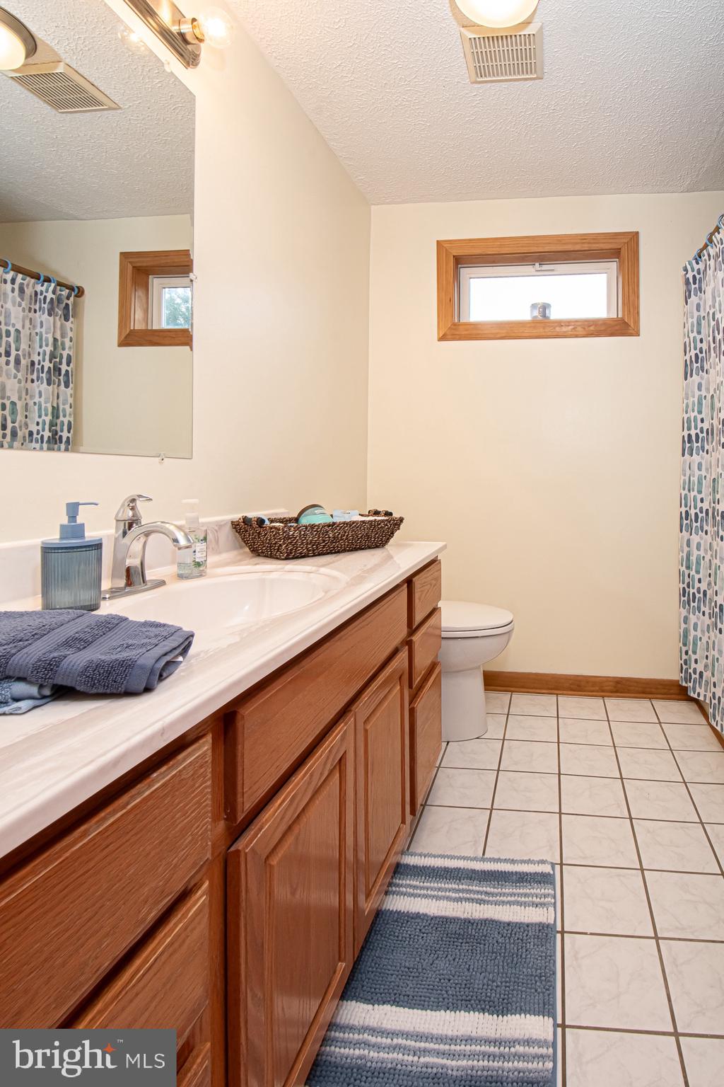 2180 Strasburg Road Front Royal, VA 22630 - Photo 67 of 90 a bathroom with a sink a toilet and a mirror