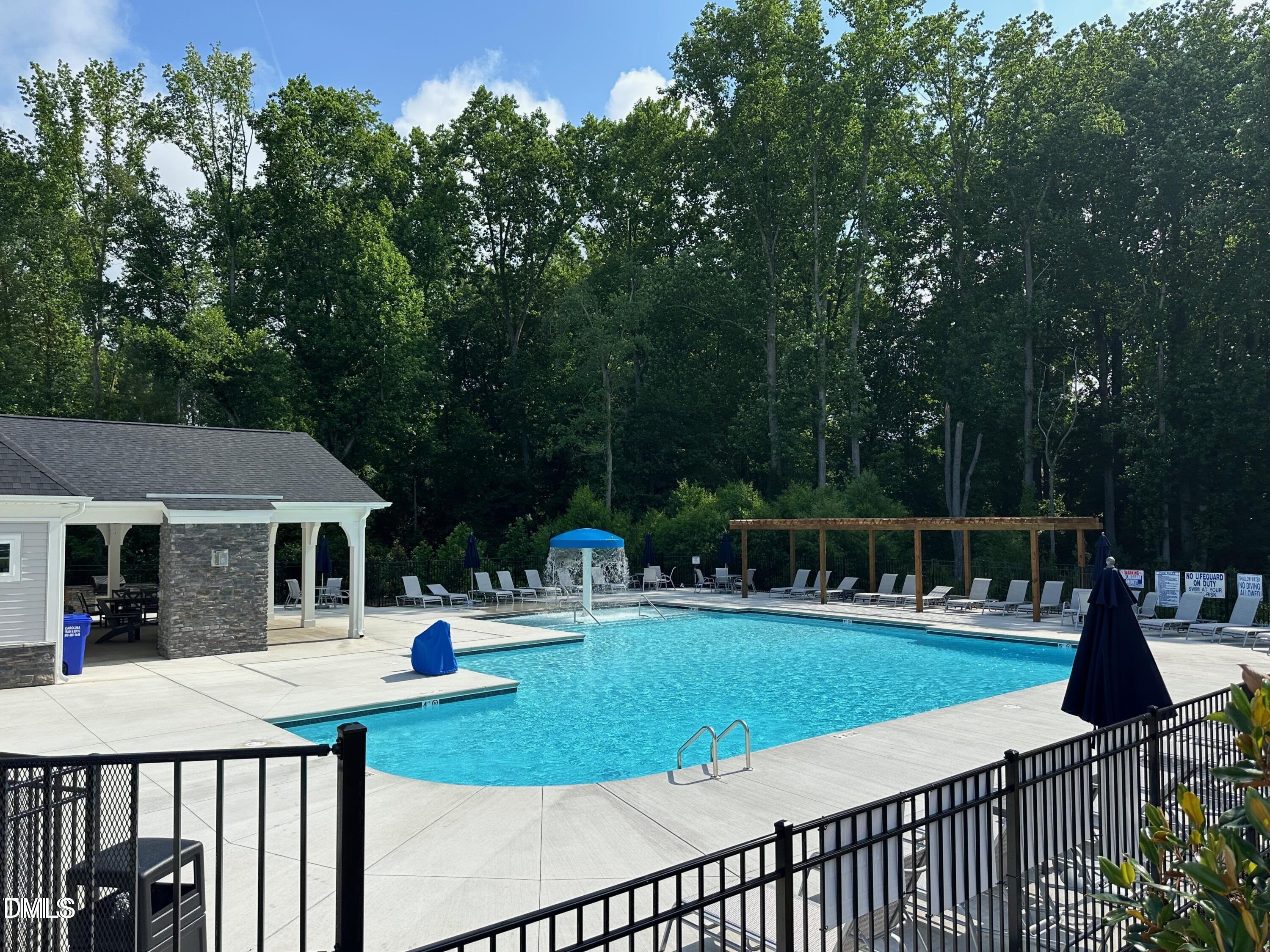 1033 Red Finch Way Angier, NC 27526 - Photo 23 of 24 pool2