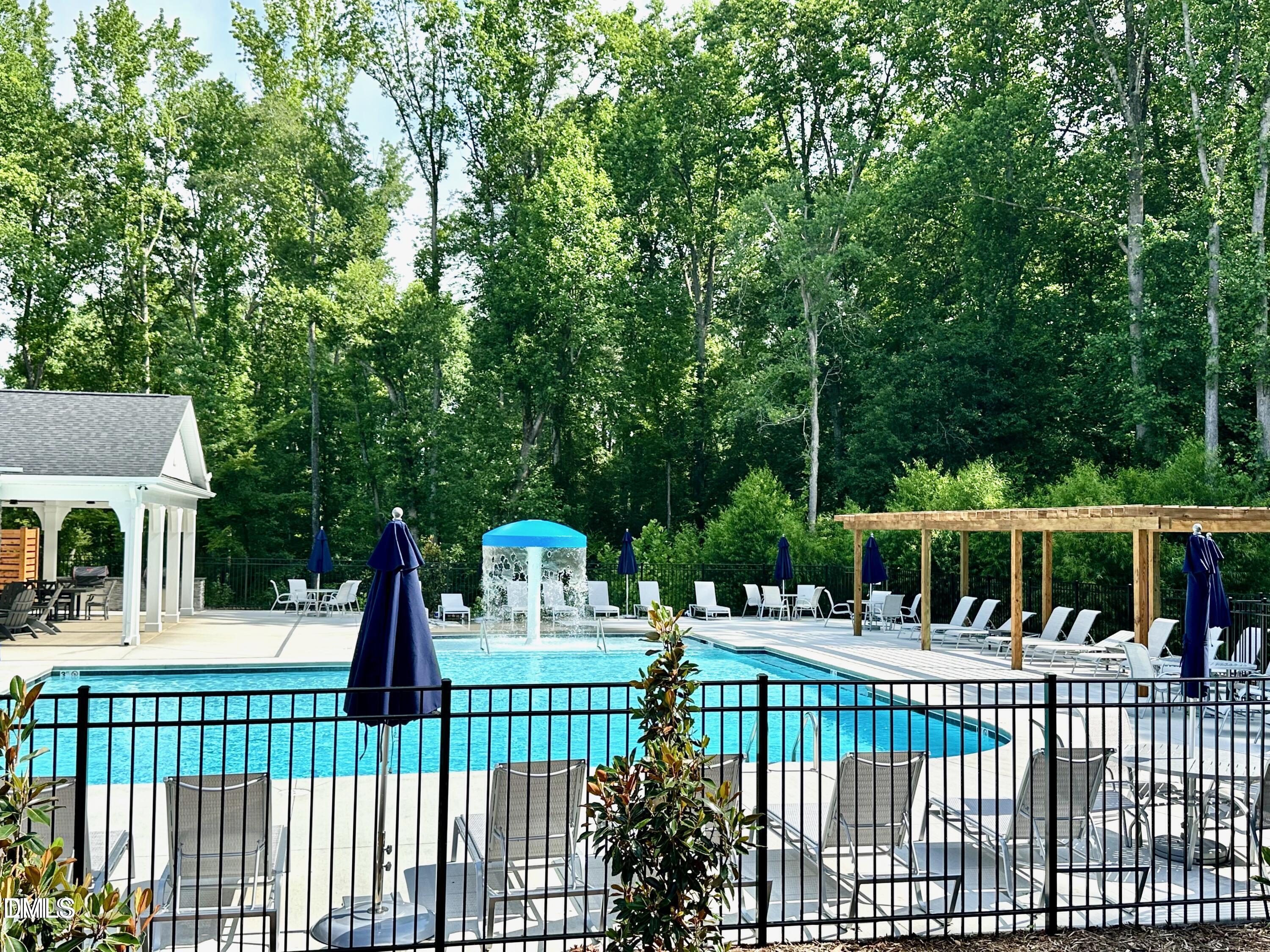 1033 Red Finch Way Angier, NC 27526 - Photo 24 of 24 pool