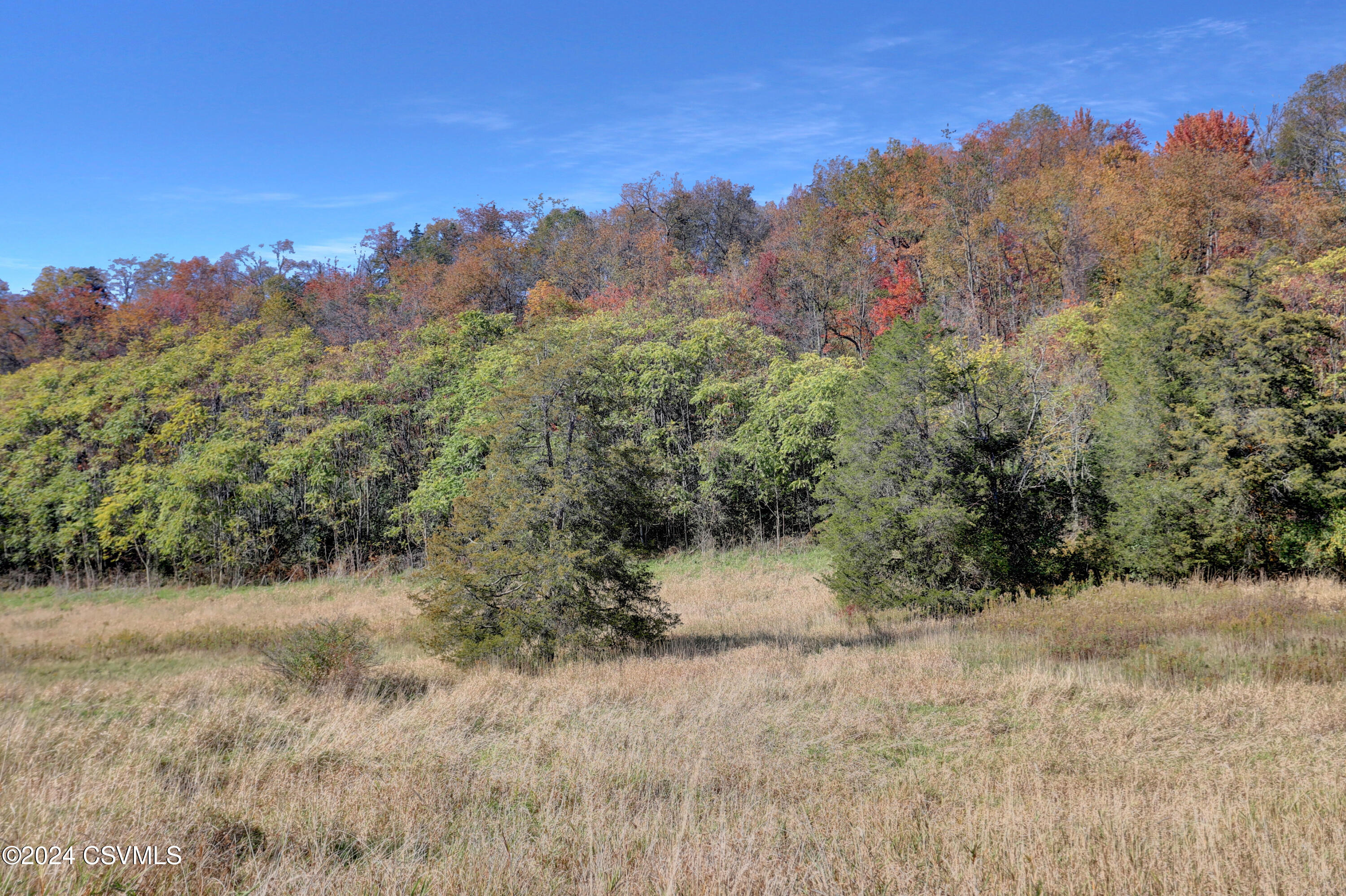 0 Foxboro Road Selinsgrove, PA 17870 - Photo 15 of 44 Gallery Image 15