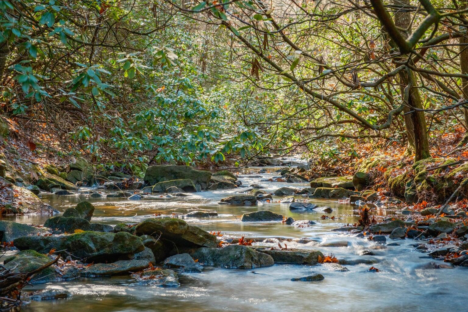 0 Still Creek Road, Unit LOT 2 Rising Fawn, GA 30738 - Photo 8 of 23 20241127153315203905000000-o