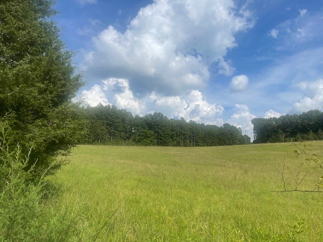 0 Tennessee Ridge Road Waverly, TN 37185 - Photo 3 of 10 a view of an ocean