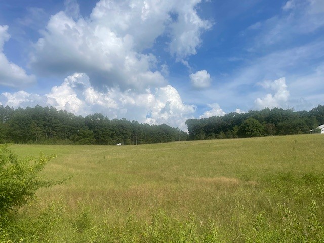 0 Tennessee Ridge Road Waverly, TN 37185 - Photo 5 of 10 a view of an ocean from a yard