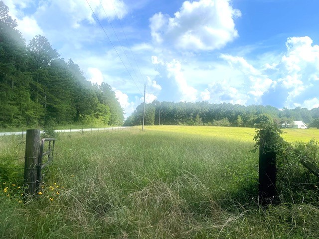 0 Tennessee Ridge Road Waverly, TN 37185 - Photo 6 of 10