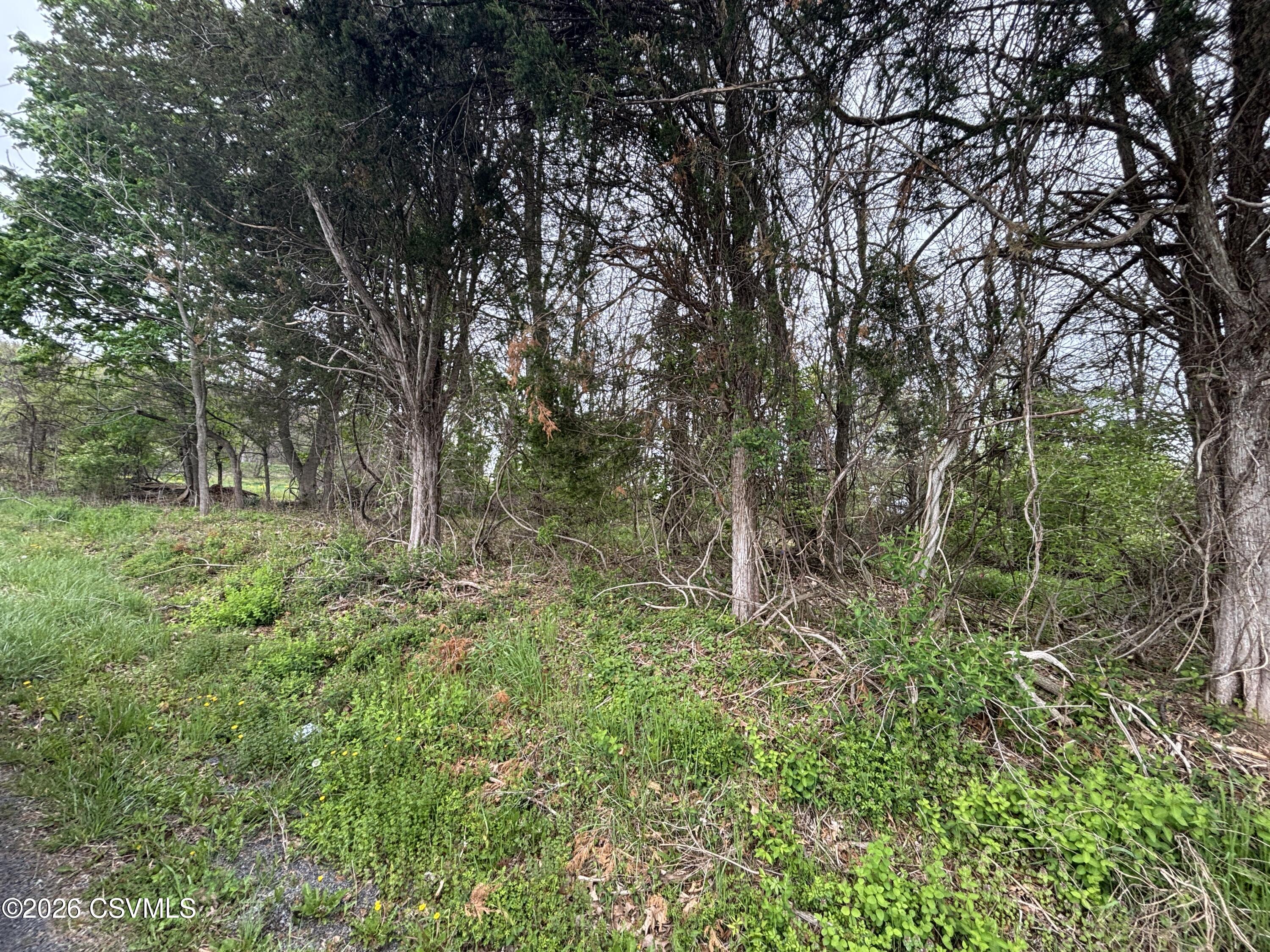 Cider Press Road Sunbury, PA 17801 - Photo 2 of 2