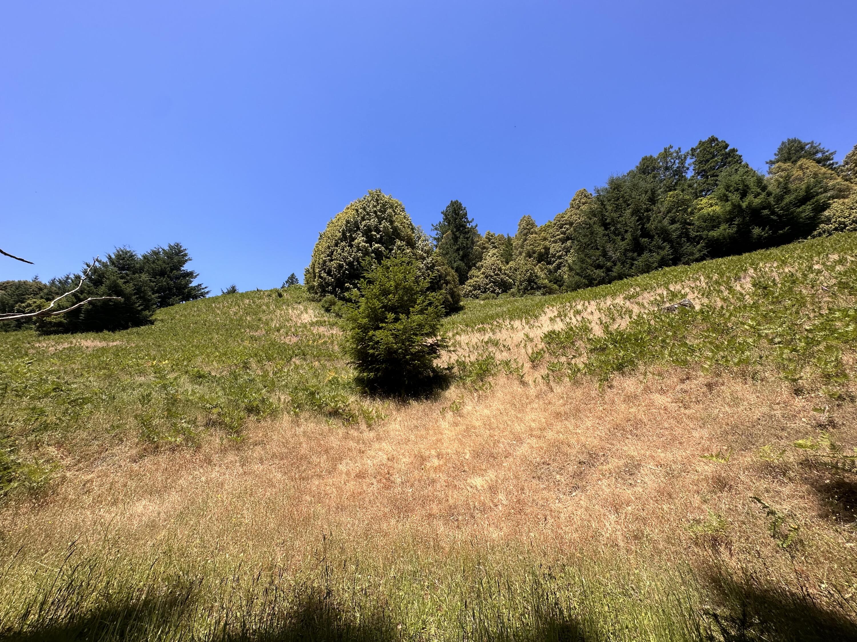 950 Powell Crk Road Garberville, CA 95542 - Photo 44 of 78
