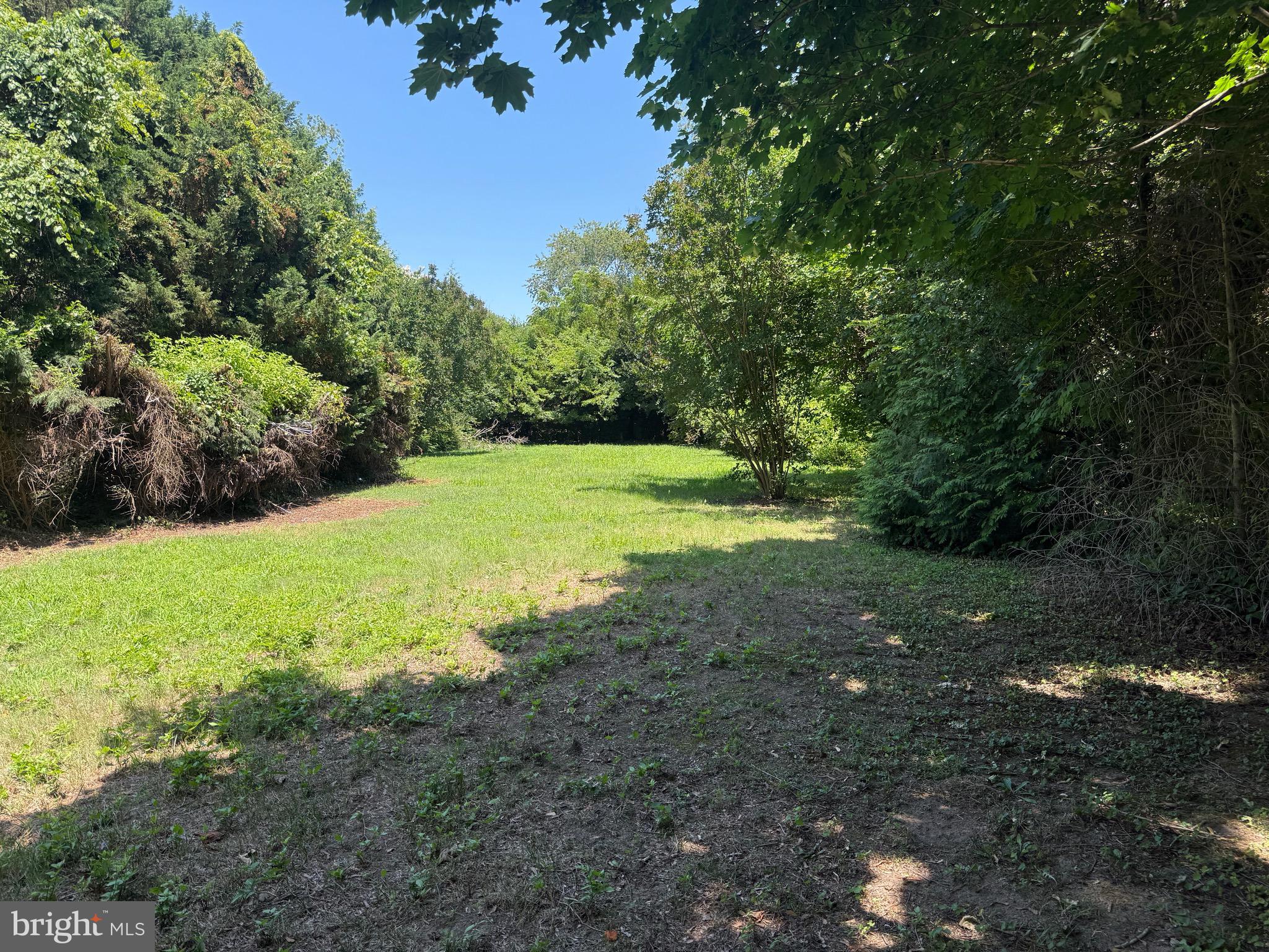 35617 Airport Road Rehoboth Beach, DE 19971 - Photo 3 of 4 a view of an trees with a yard