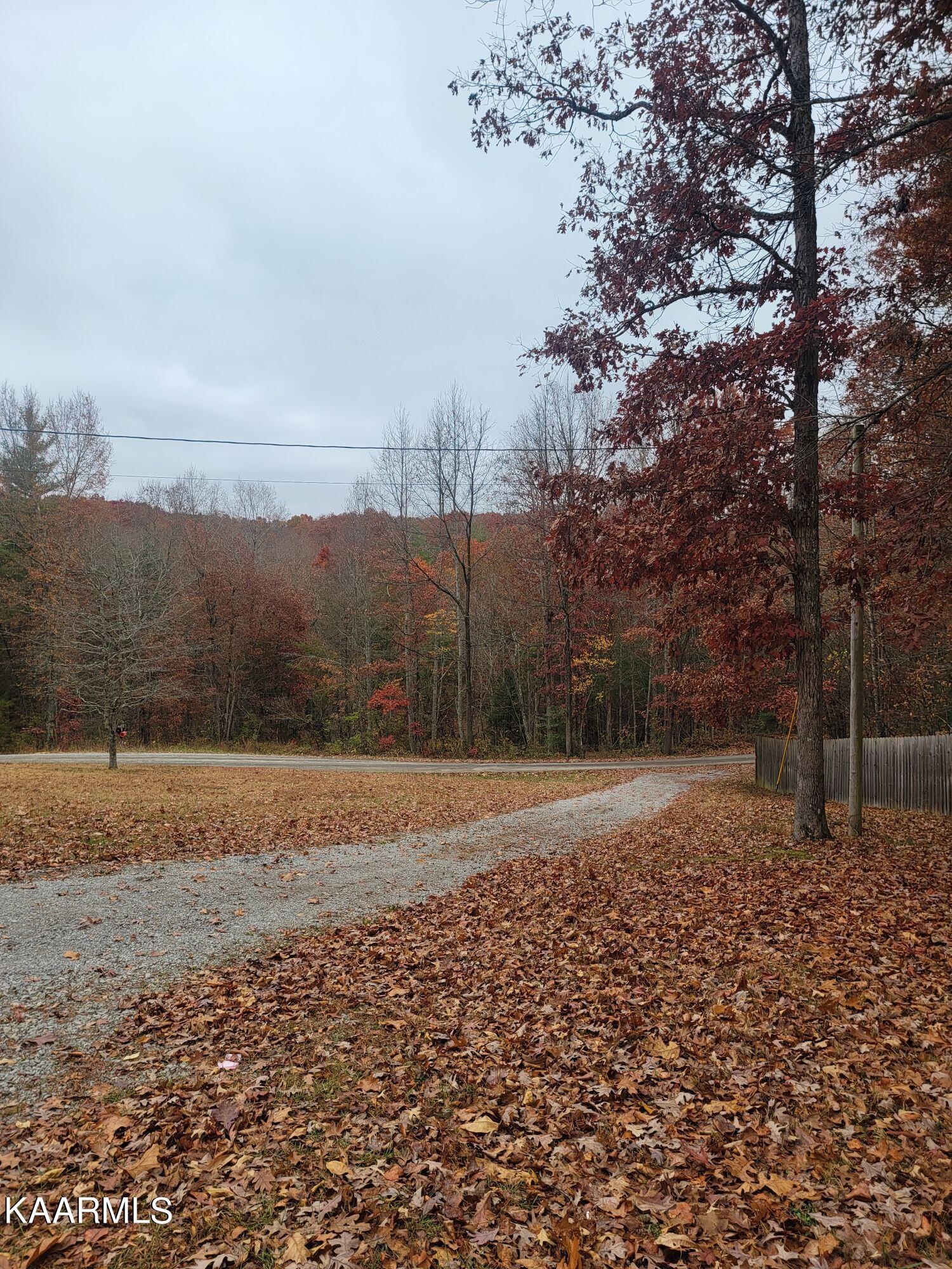 179 Hensley Road Deer Lodge, TN 37726 - Photo 8 of 18 Resized_20221026_145022