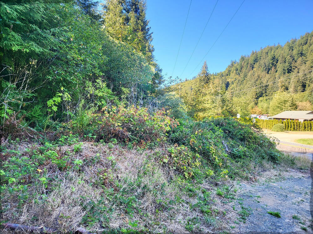 800-900 Miami Foley Road Nehalem, OR 97131 - Photo 4 of 12