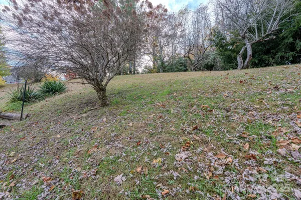 a view of a yard with large trees