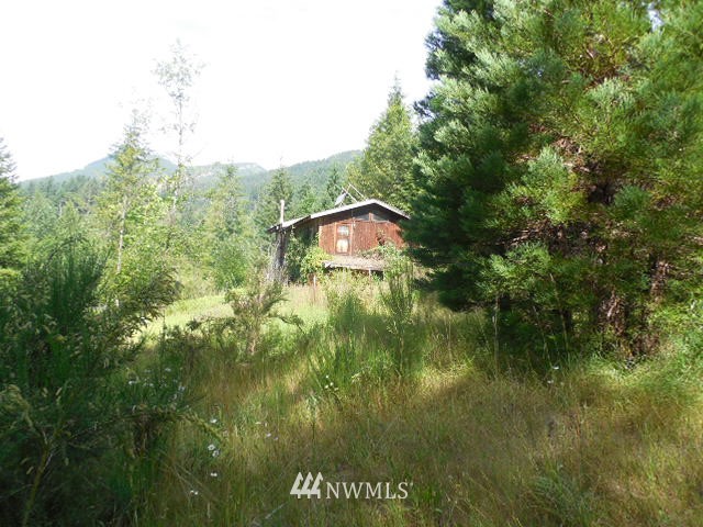 144 Abbey Road Randle, WA 98377 - Photo 1 of 1 Gallery Image 1