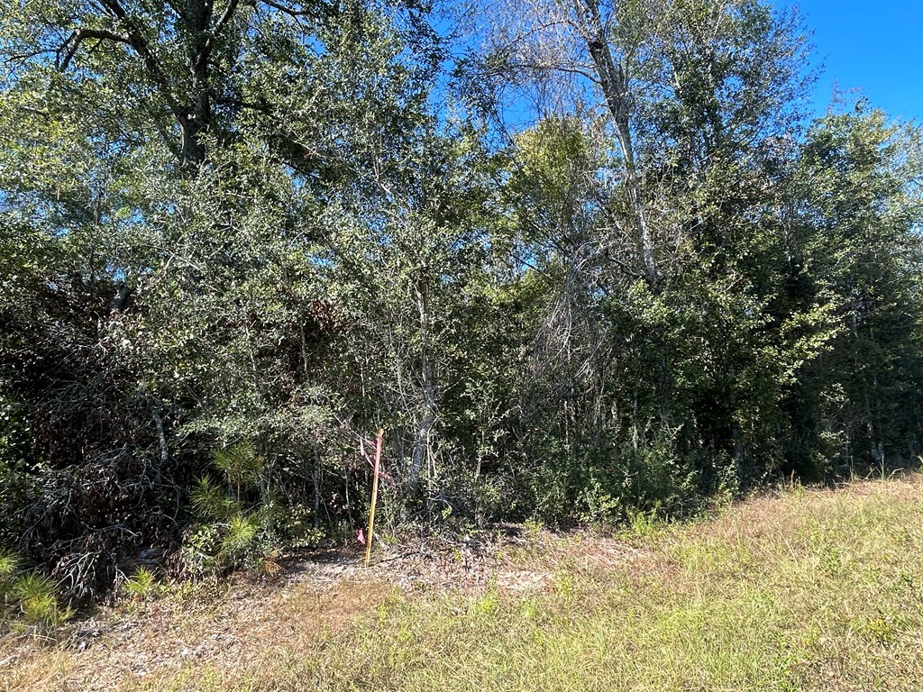 20-ac Coot Adams Road Ashford, AL 36312 - Photo 8 of 28