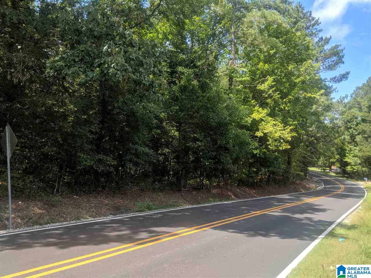 0 Old Broadwell Mill Road Jacksonville, AL 36265 - Photo 20 of 22