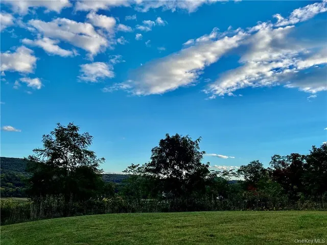 a view of a big yard with lots of green space