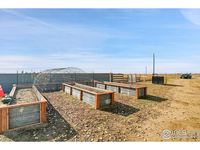 a view of swimming pool with a yard and trees in the background