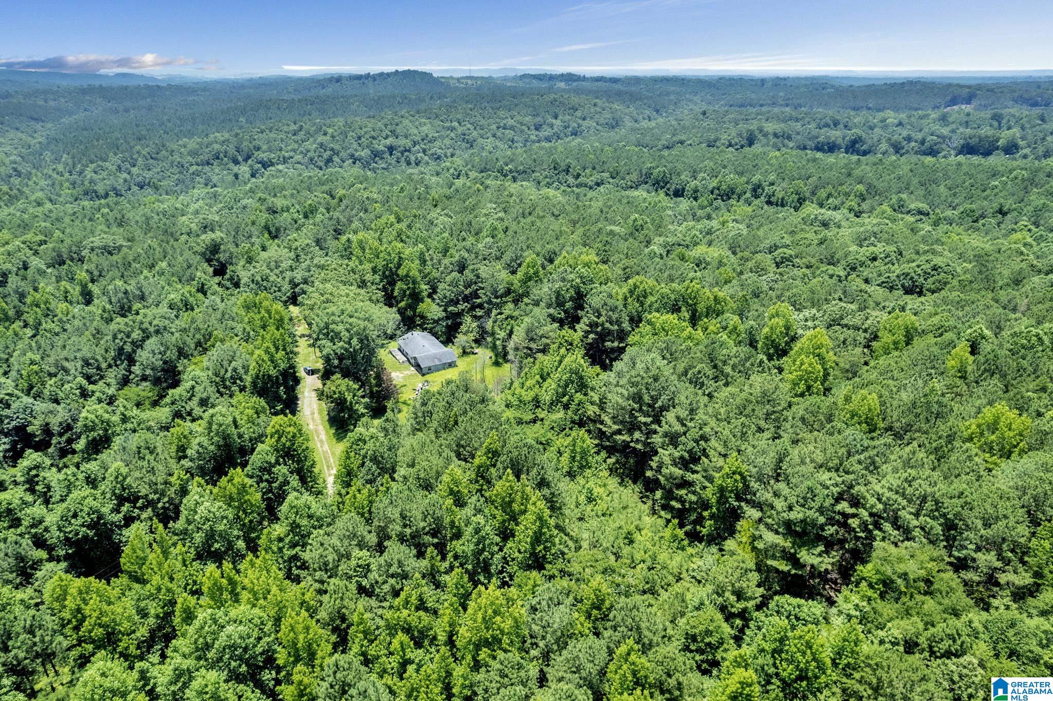 572 Dunn Hill Road Parrish, AL 35580 - Photo 23 of 25