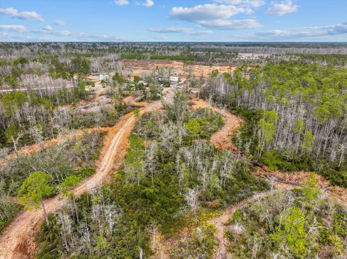 3220 Albert Hendry Road Greenville, FL 32331 - Photo 12 of 22