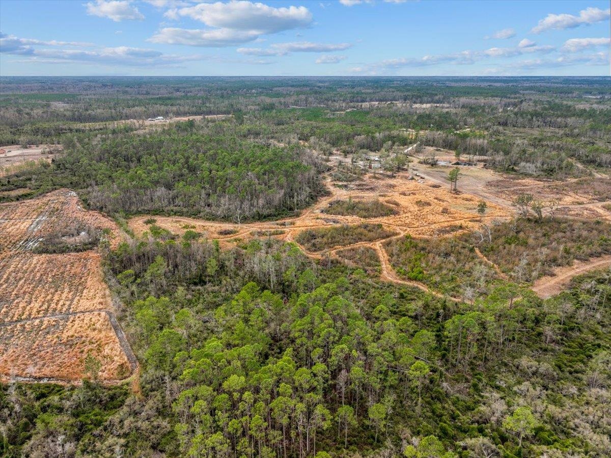 3220 Albert Hendry Road Greenville, FL 32331 - Photo 14 of 22