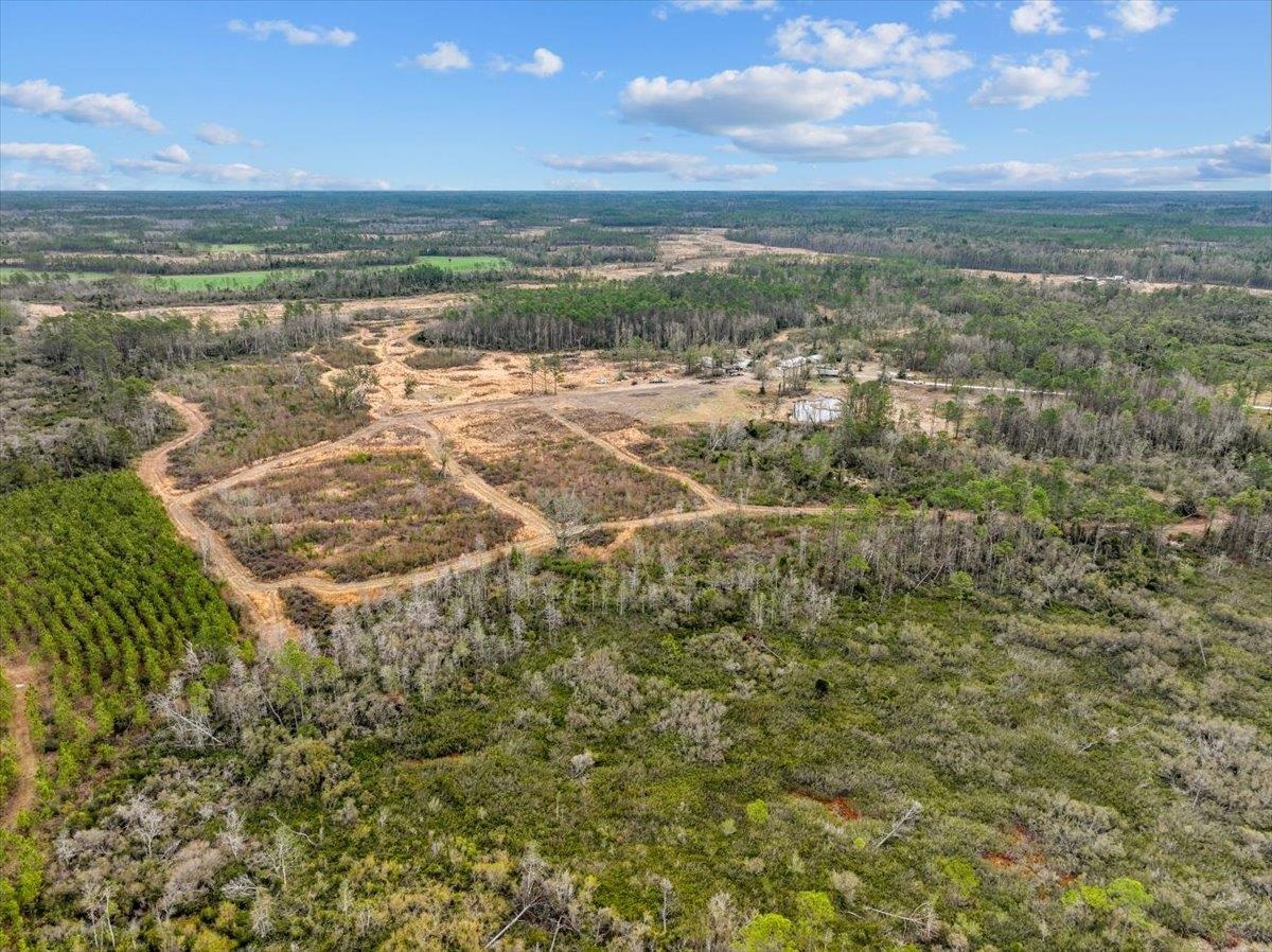 3220 Albert Hendry Road Greenville, FL 32331 - Photo 17 of 22