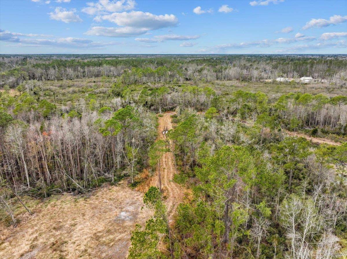 3220 Albert Hendry Road Greenville, FL 32331 - Photo 20 of 22