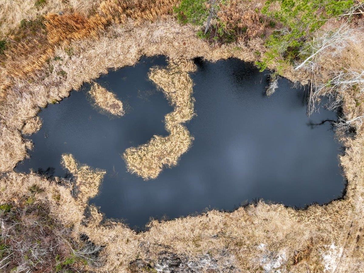 3220 Albert Hendry Road Greenville, FL 32331 - Photo 21 of 22